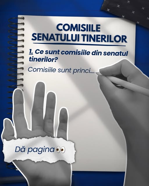 Comisiile Senatului