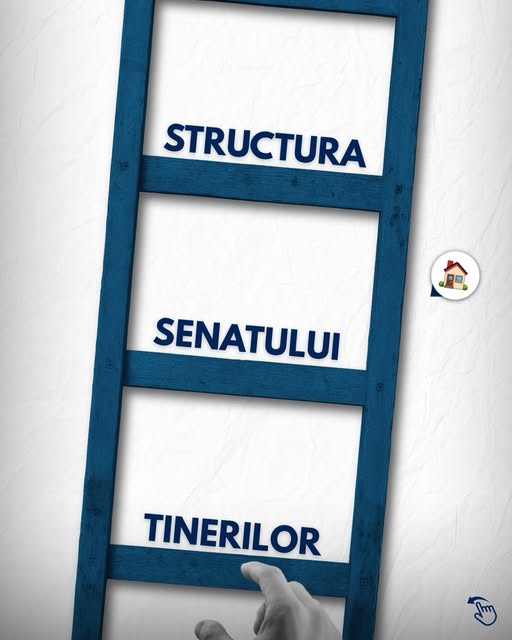 Structura Senatului